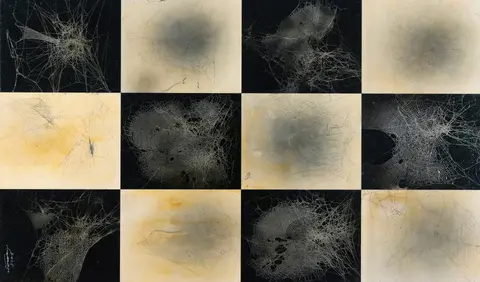 이민구, 소우주 (Microcosmos), 혼합재료 (거미줄), 검은 바탕의 은빛 거미줄과 밝은 바탕을 엇갈려 놓은 격자 작업. 「소우주(Microcosmos)」 연작